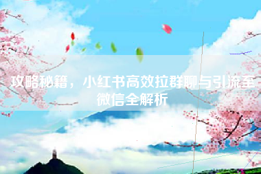 攻略秘籍，小红书高效拉群聊与引流至微信全解析