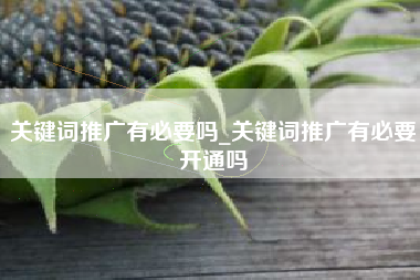 关键词推广有必要吗_关键词推广有必要开通吗