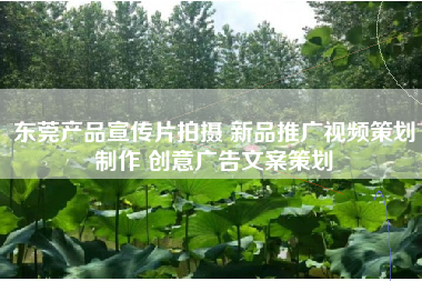 东莞产品宣传片拍摄 新品推广视频策划制作 创意广告文案策划