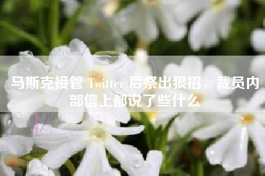 马斯克接管 Twitter 后祭出狠招，裁员内部信上都说了些什么