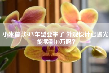 小米首款SUV车型要来了 外观设计已曝光 能卖到40万吗？