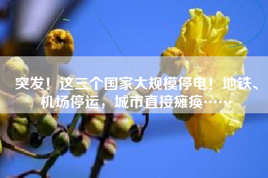 突发！这三个国家大规模停电！地铁、机场停运，城市直接瘫痪……
