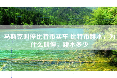 马斯克叫停比特币买车 比特币跳水，为什么叫停，跳水多少