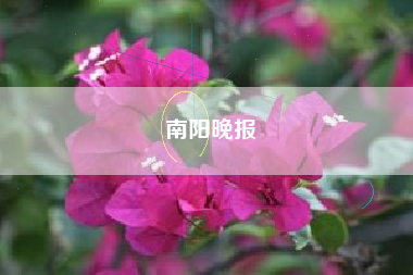 南阳晚报