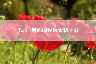 Twitter封面图模板素材下载
