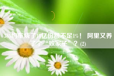 365约车烧了18亿份额不足1%！ 阿里又养了个“败家子”？(2)