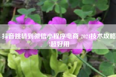 抖音跳转到微信小程序电商 2024技术攻略!超好用