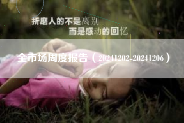 全市场周度报告（20241202-20241206）