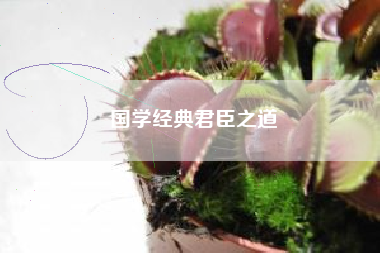 国学经典君臣之道