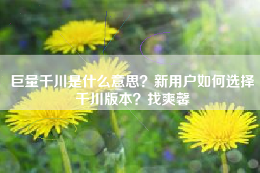 巨量千川是什么意思？新用户如何选择千川版本？找爽馨
