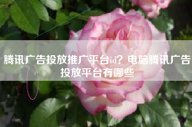 腾讯广告投放推广平台id？电脑腾讯广告投放平台有哪些