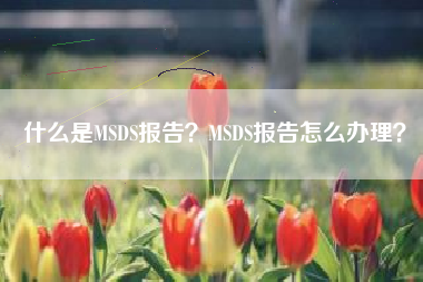 什么是MSDS报告？MSDS报告怎么办理？