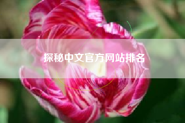 探秘中文官方网站排名