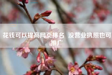 花钱可以提高网页排名  没营业执照也可推广