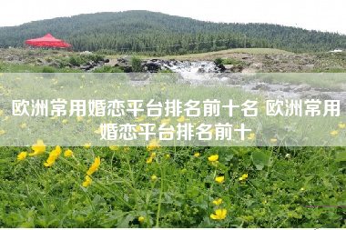 欧洲常用婚恋平台排名前十名 欧洲常用婚恋平台排名前十