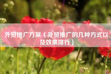 外贸推广方案（外贸推广的几种方式以及效果排行）