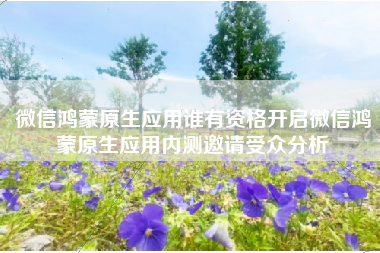微信鸿蒙原生应用谁有资格开启微信鸿蒙原生应用内测邀请受众分析
