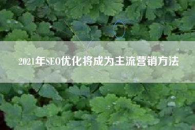 2021年SEO优化将成为主流营销方法