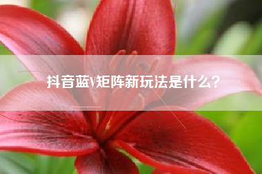 抖音蓝V矩阵新玩法是什么？
