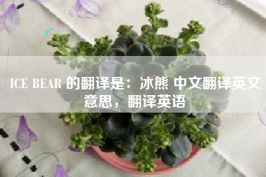 ICE BEAR 的翻译是:冰熊 中文翻译英文意思,翻译英语 ICE BEAR 的翻译是:冰熊 中文翻译英文意思,翻译英语
