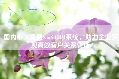国内永久免费SaaS CRM系统，助力企业实现高效客户关系管理