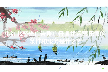 小红书聚光广告账户开通代运营托管的条件和服务是什么？