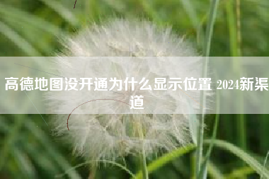 高德地图没开通为什么显示位置 2024新渠道