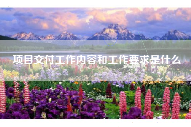 项目交付工作内容和工作要求是什么
