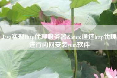 Java实现Http代理服务器&通过http代理进行内网安装yum软件