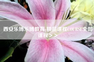 西安乐博乐博教育-精品课程COURSE全部课程＞＞