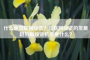 什么是互联网经济？互联网经济的发展趋势和投资机会是什么？