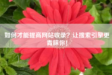如何才能提高网站收录？让搜索引擎更青睐你！