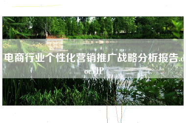 电商行业个性化营销推广战略分析报告.docVIP