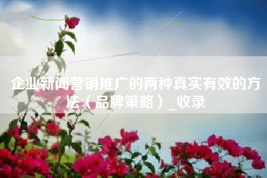 企业新闻营销推广的两种真实有效的方法（品牌策略）_收录