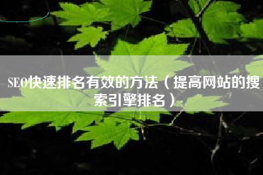 SEO快速排名有效的方法（提高网站的搜索引擎排名）
