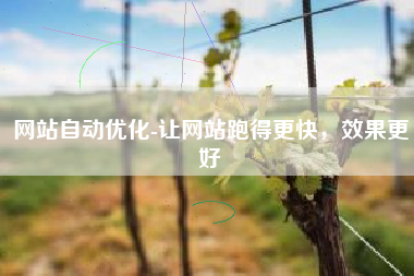 网站自动优化-让网站跑得更快，效果更好