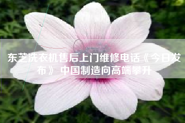 东芝洗衣机售后上门维修电话《今日发布》 中国制造向高端攀升 东芝洗衣机售后上门维修电话《今日发布》 中国制造向高端攀升