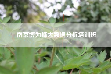 南京博为峰大数据分析培训班