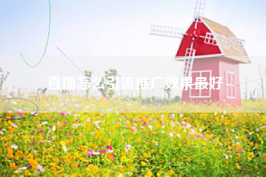直播怎么引流推广效果最好