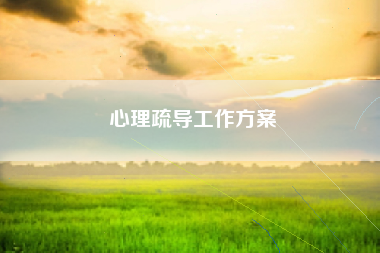 心理疏导工作方案