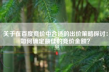 关于在百度竞价中合适的出价策略探讨：如何确定最佳的竞价金额？