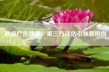 透视广告效果，第三方评估引领新风尚