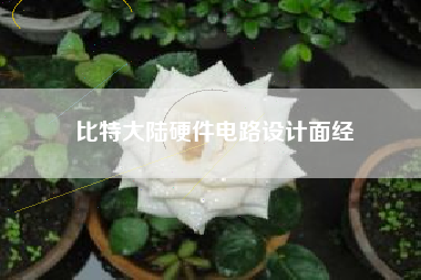比特大陆硬件电路设计面经