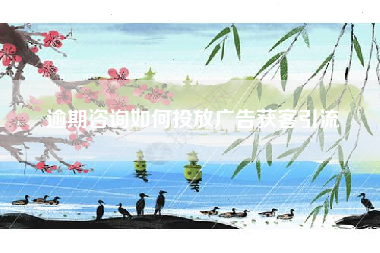 逾期咨询如何投放广告获客引流