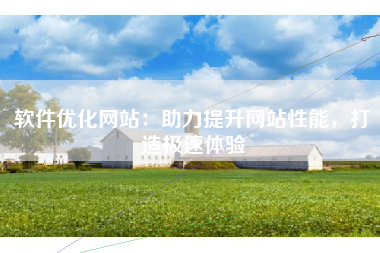 软件优化网站：助力提升网站性能，打造极速体验