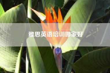 雅思英语培训哪家好