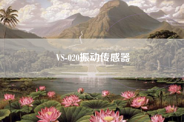 VS-020振动传感器