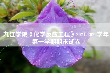 九江学院《化学反应工程》2021-2022学年第一学期期末试卷