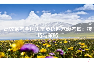 高效备考全国大学英语四六级考试:技巧与策略 高效备考全国大学英语四六级考试:技巧与策略
