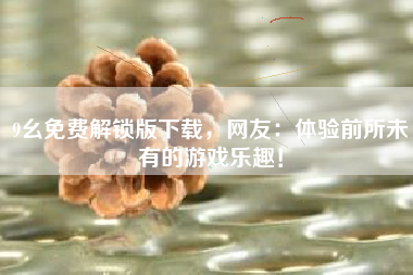 9幺免费解锁版下载，网友：体验前所未有的游戏乐趣！